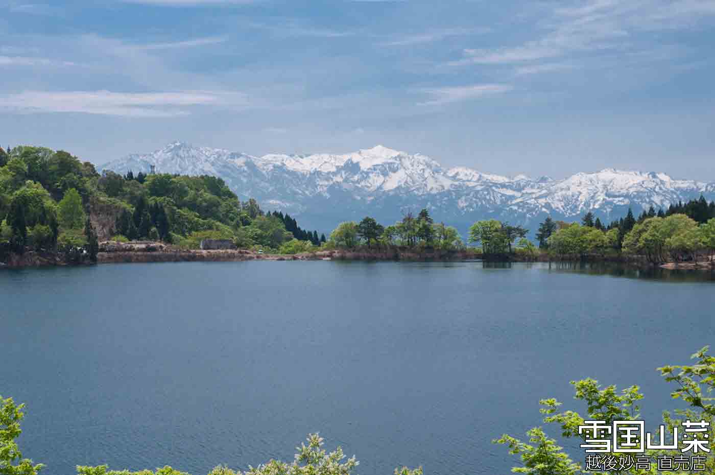 5月中旬ごろの頚城山塊