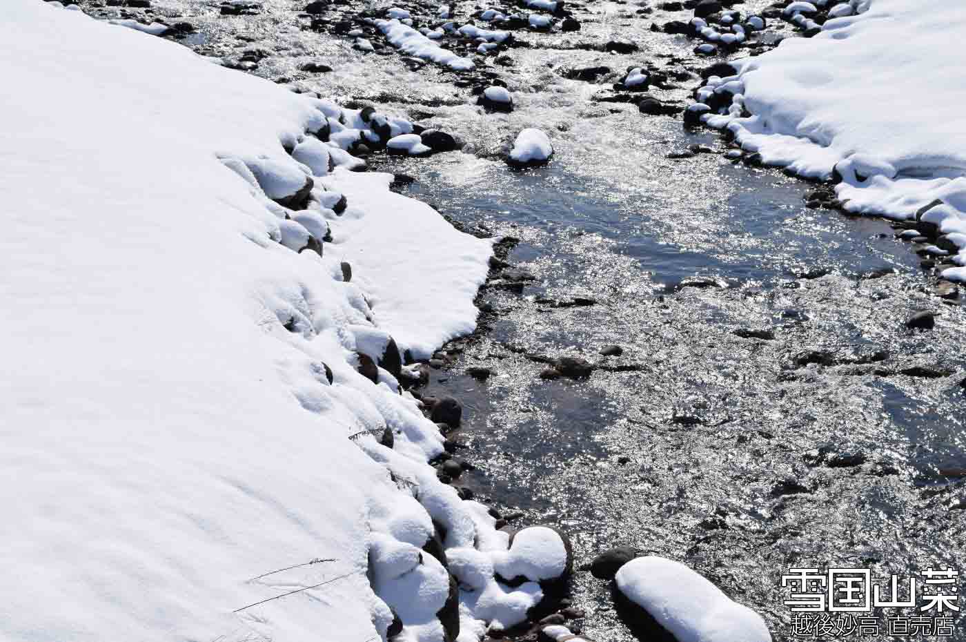 豊富な雪解け水が流れる雪国の川